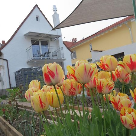 Spira House Apartment Екстериор снимка