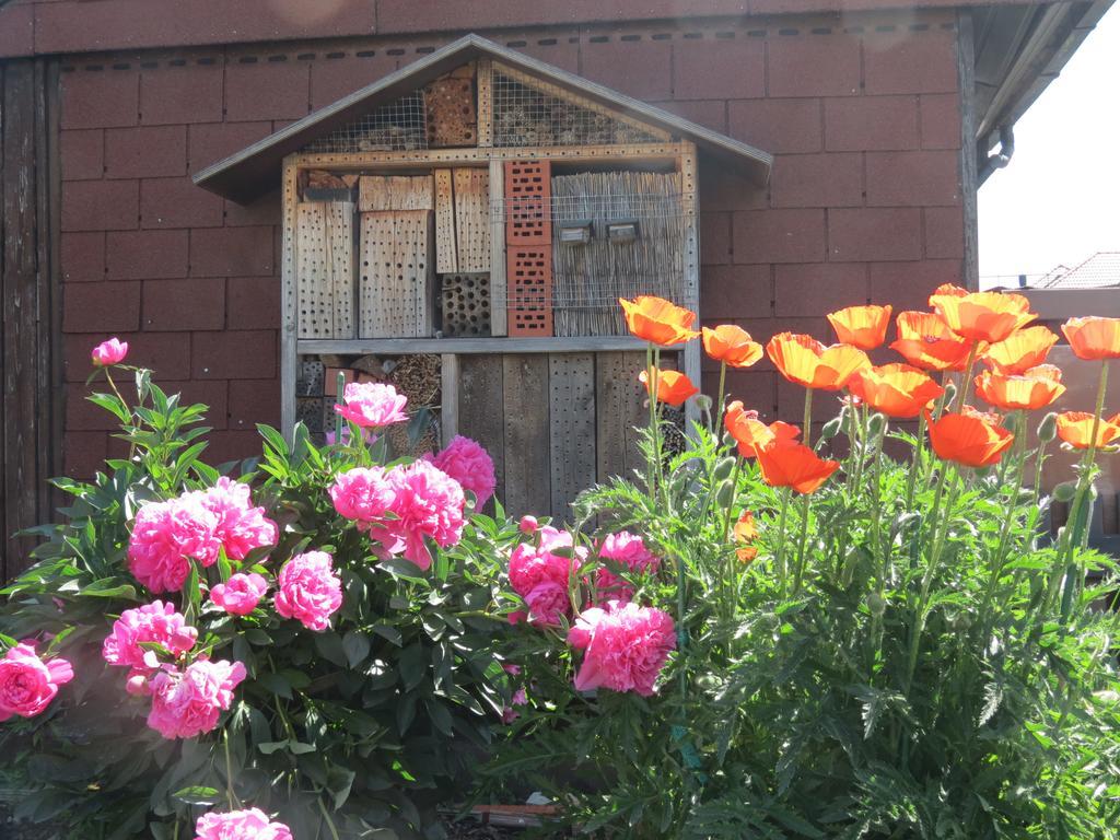 Spira House Apartment Екстериор снимка